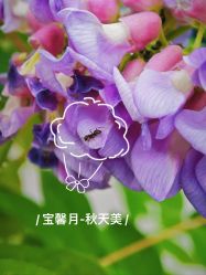 点击看大图 -宝馨月月子中心(友谊医院店)