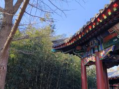 -宣武艺园