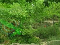 -阳台山自然风景区