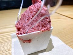 杨梅冰激凌-野人先生现做冰淇淋(北京顺义祥云小镇店)
