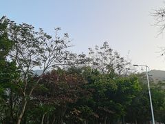 -梧桐山风景名胜区