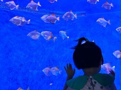 -沈阳海洋探索中心