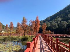 -广州市石门国家森林公园