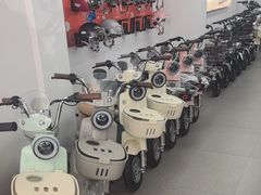 -雅迪电动车(北艾路店)