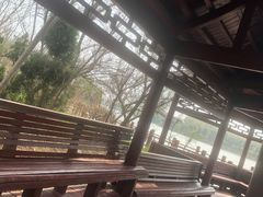 -塘沽森林公园