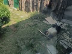 -大连森林动物园