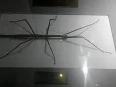 -上海昆虫博物馆