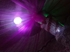 -水晶之星洗浴温泉汗蒸