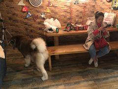-玩坞轰趴馆·户外团建聚会主题生日派对馆(世豪广场店)
