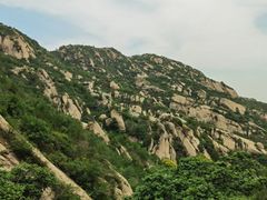 -尚庄度假村·庭台树下·户外烧烤·团建CS·轰趴营地(上庄水库店)