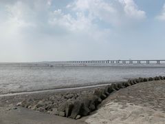 -南汇新城海滩