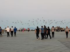 -东港音乐喷泉广场