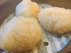潮州蒸粉果-添运来(茶园奥园广场店)