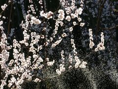 -天坛公园