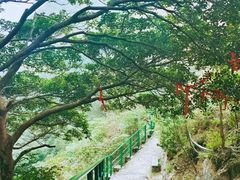 -梅州天地人花园酒店(梅县人民广场店)