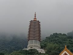 -深圳仙湖植物园