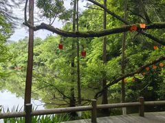-天目湖山水园