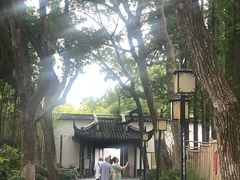 -上海醉白池公园