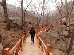 -大岭沟猕猴桃谷风景区