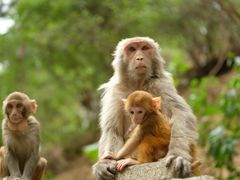 -山西通天峡景区