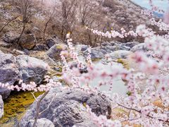 -妙峰山风景名胜区