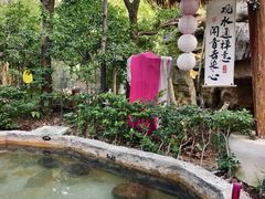 -深业半汤御泉庄温泉
