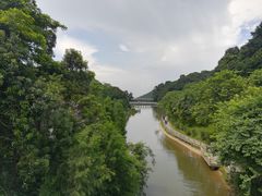 -广州市帽峰山景区