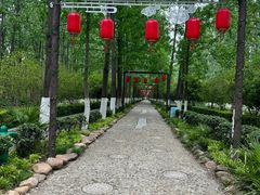 -合肥滨湖国家森林公园