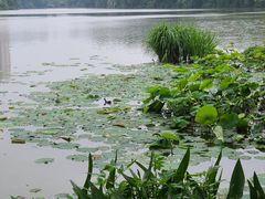 -南通濠河风景名胜区