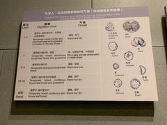 -北京周口店北京人遗址博物馆