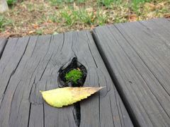 -果之满满鲜榨果汁(科技产业大厦店)