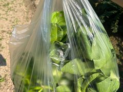 -前小桔亲子创意农场·草莓采摘·露营烧烤