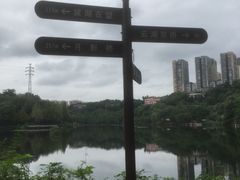 -重庆彩云湖湿地公园