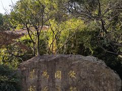 -中国茶叶博物馆(双峰馆区)