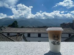 -喵屿·大理花园猫咖