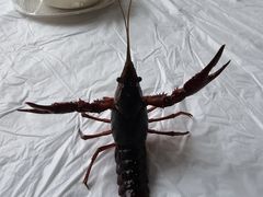 -盱眙虾怪·旗舰店