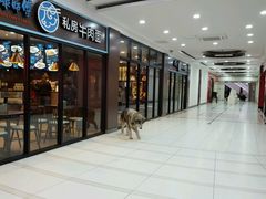 -好久不见网红乐队酒吧(鼓浪屿海底世界店)