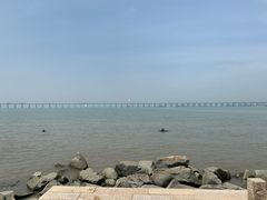 -宝安西湾红树林湿地公园