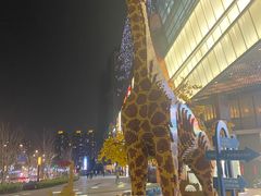 -上海长风大悦城