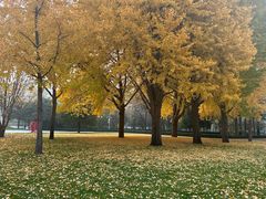-北京理工大学(中关村校区)