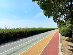 -贡湖湾湿地公园