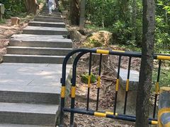 -梧桐山风景名胜区