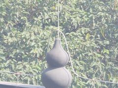 -敬亭山风景名胜区