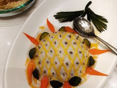 -丁老爷子苏香圆