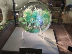 -陕西自然博物馆