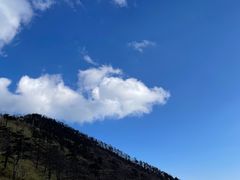 -朱雀国家森林公园