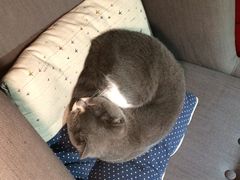 Mikaku-MIKAKU(万达广场上海宝山店)