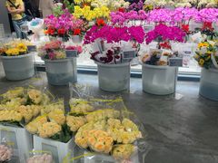 -盒马X会员店(王府井奥莱UP TOWN店)