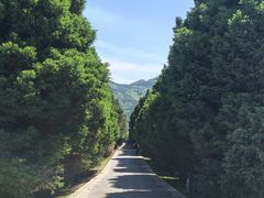 -秦始皇帝陵博物院-丽山园