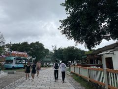 -杨梅坑